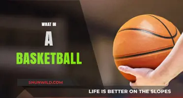 Understanding the Anatomy and Components of a Basketball