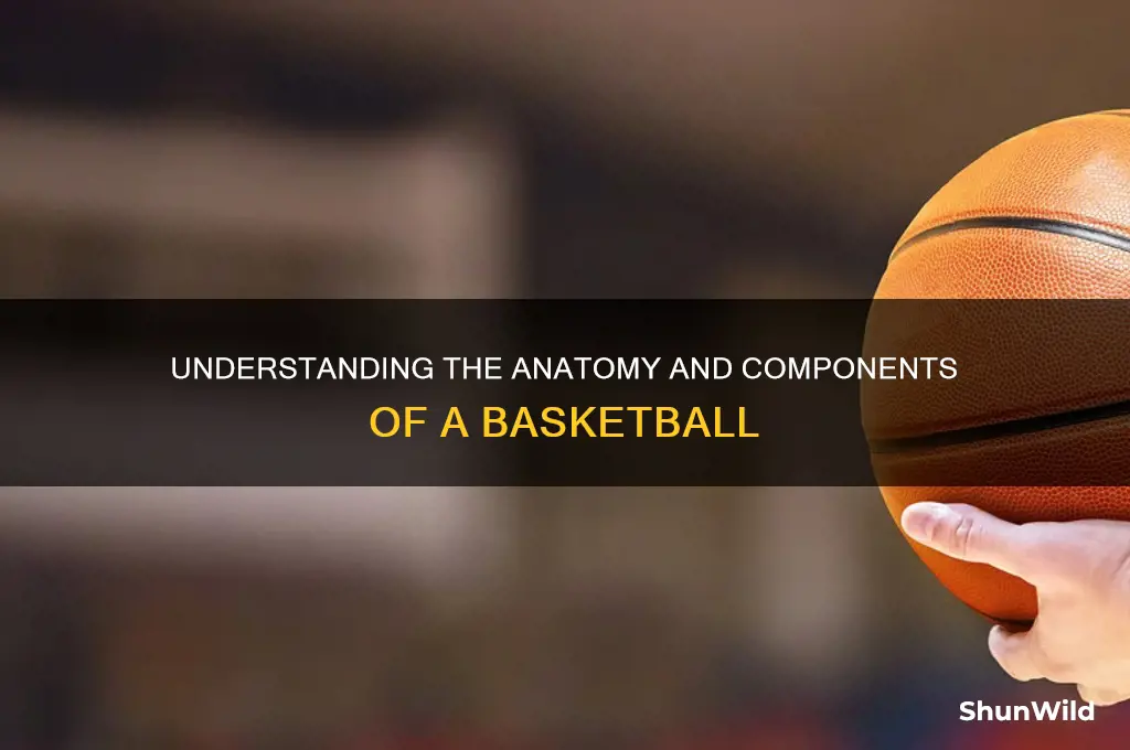 what in a basketball