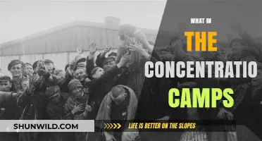 Unveiling the Horrors: Inside the Concentration Camps' Dark History