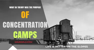 Theoretical Purpose of Concentration Camps: A Historical Analysis