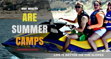 Exploring the Thriving Industry Behind Summer Camps and Programs
