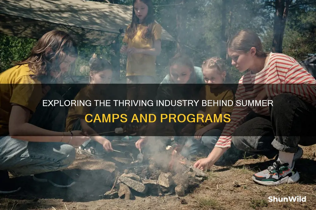 what industry are summer camps
