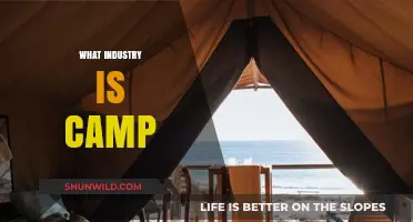 Exploring the Industry: Understanding the Role and Impact of Camp