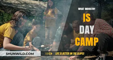 Exploring the Industry Behind Day Camps: A Comprehensive Overview
