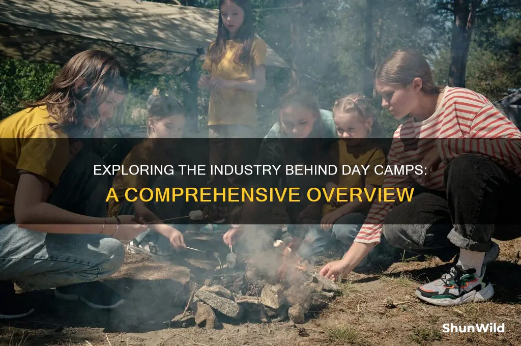 what industry is day camp