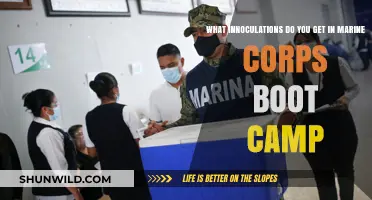 Marine Corps Boot Camp Inoculations: Essential Vaccines for Recruits