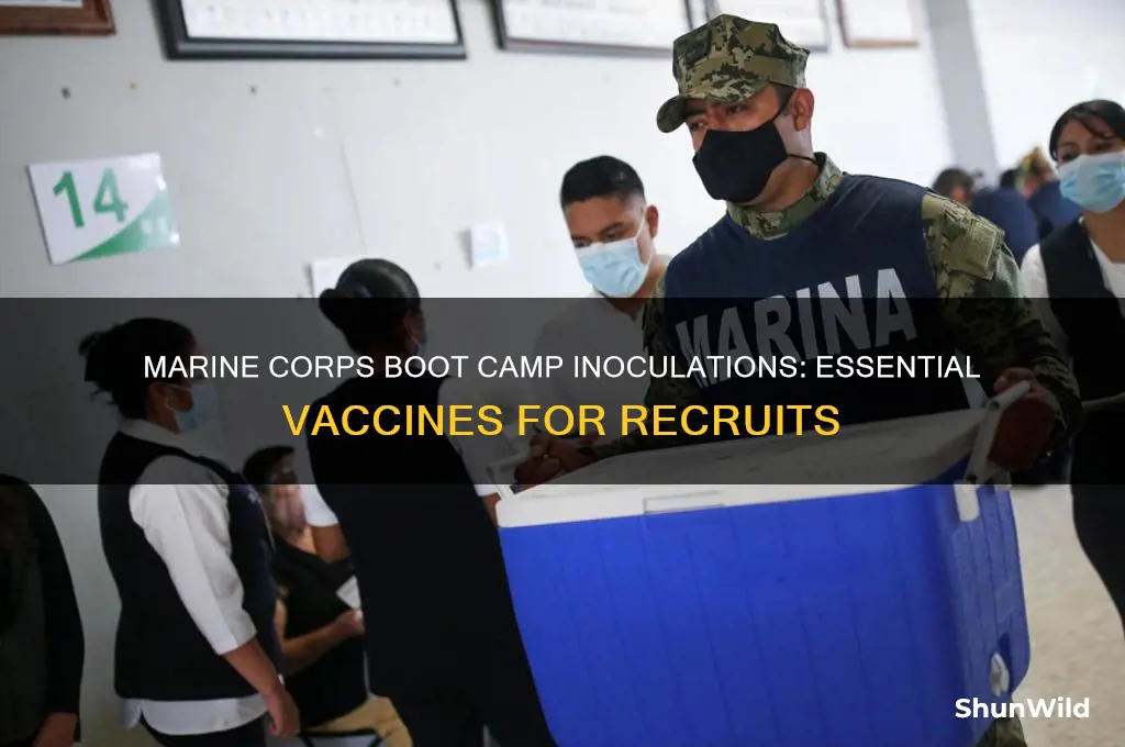 what innoculations do you get in marine corps boot camp