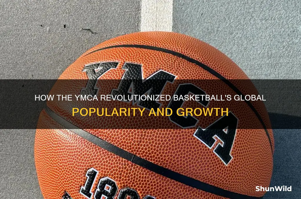 what institution helped popularize basketball