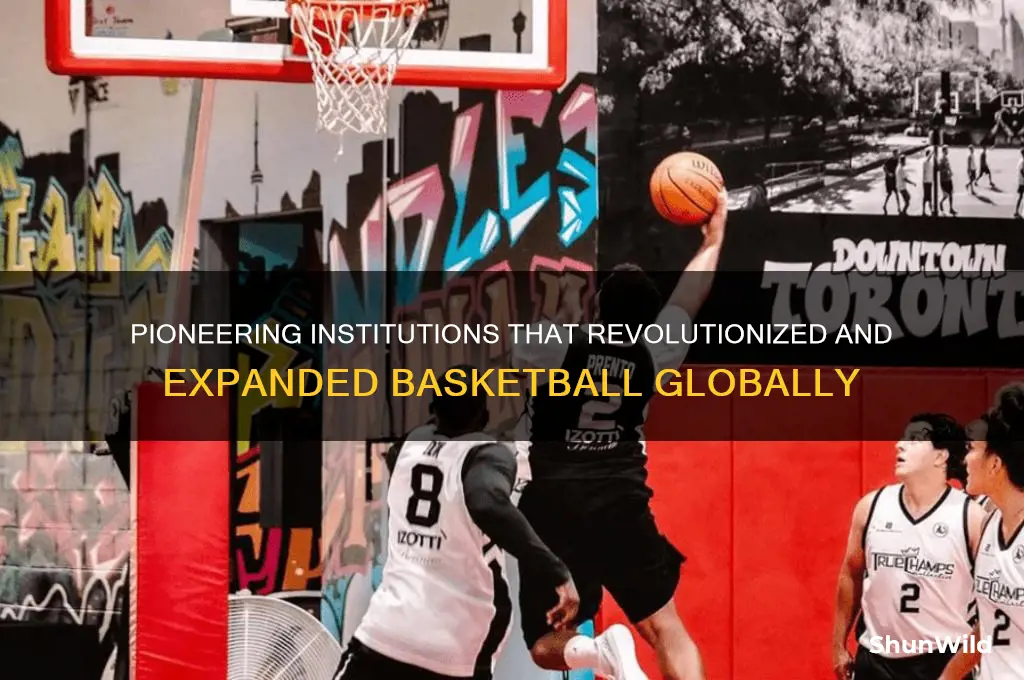 what institutoins led the way to expand basketball