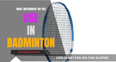 Badminton Essentials: Rackets, Shuttlecocks, and Nets
