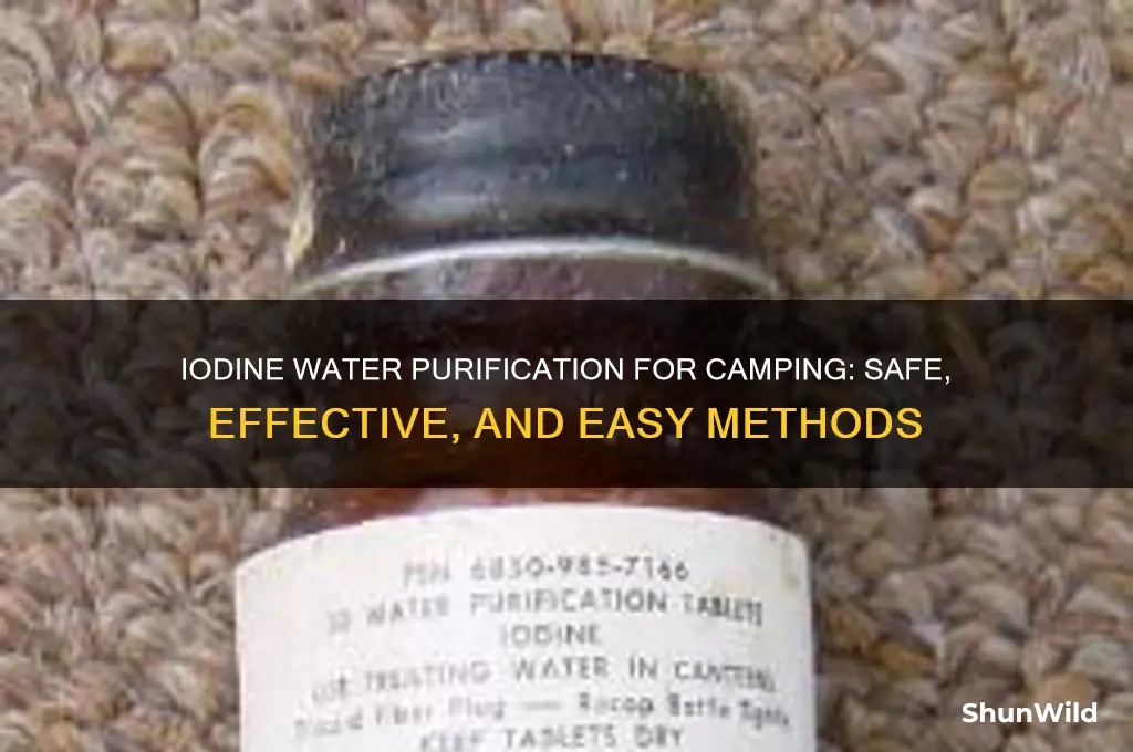 what iodine camping water purification