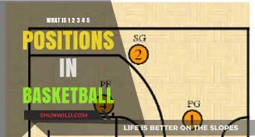 Understanding Basketball's 1-5 Positions: Roles and Responsibilities Explained