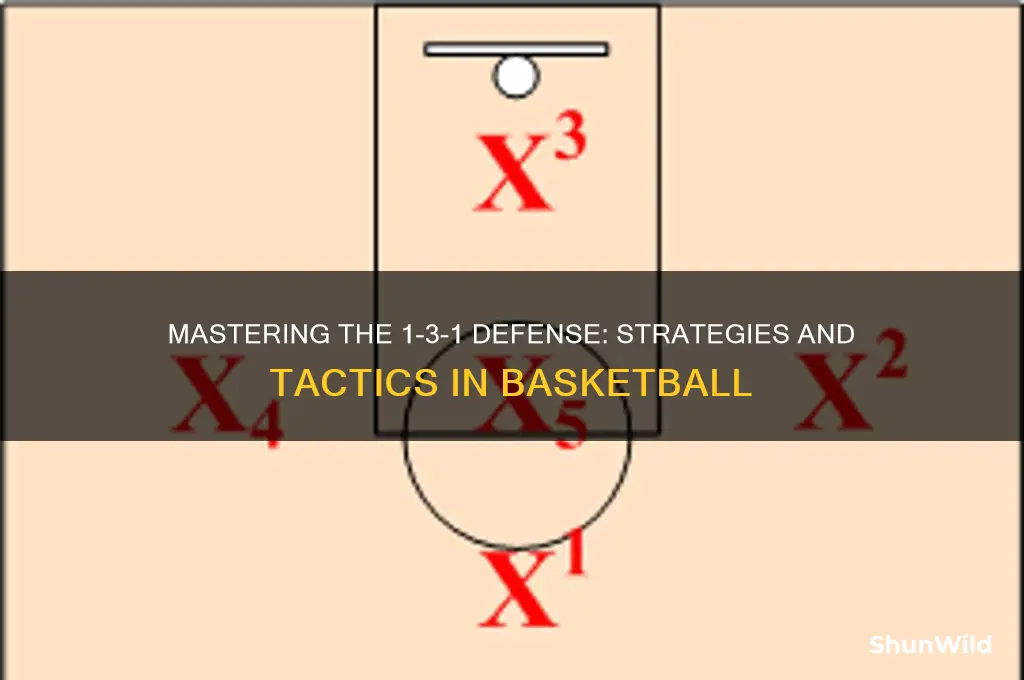what is 1 3 1 defense in basketball