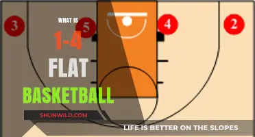 Understanding 1-4 Flat Basketball: Tactics, Roles, and Court Strategy Explained