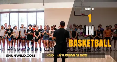 Understanding the Point Guard: The Role of 1 in Basketball