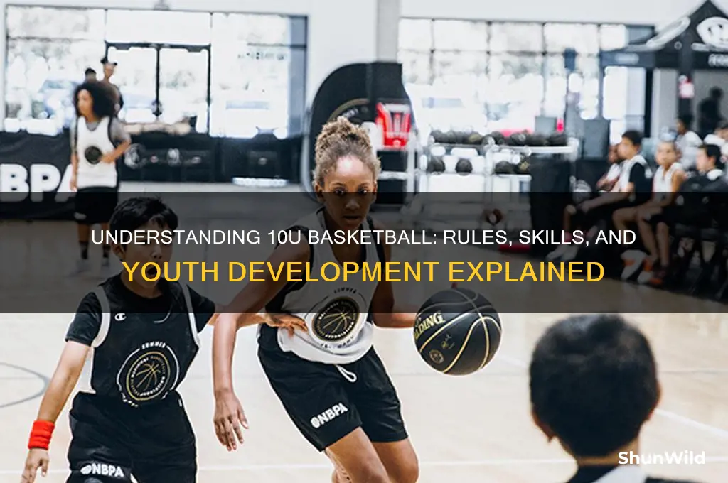 what is 10u basketball