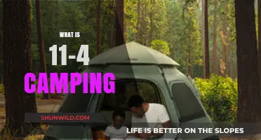 Exploring the Basics of 11-4 Camping: A Beginner's Guide