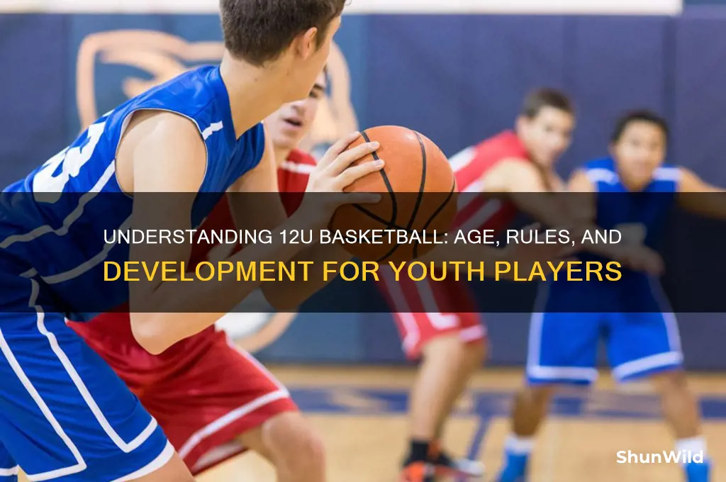what is 12u basketball