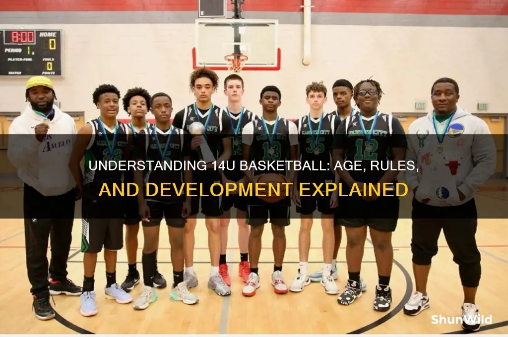 what is 14u basketball