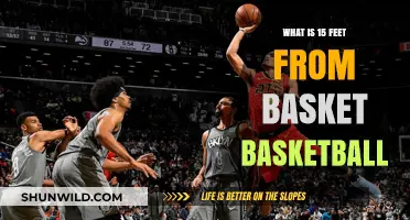 Mastering the 15-Foot Zone: Elevate Your Basketball Shooting Skills
