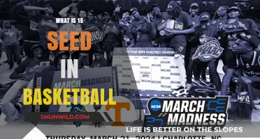 Understanding the Role and Impact of a 15 Seed in Basketball