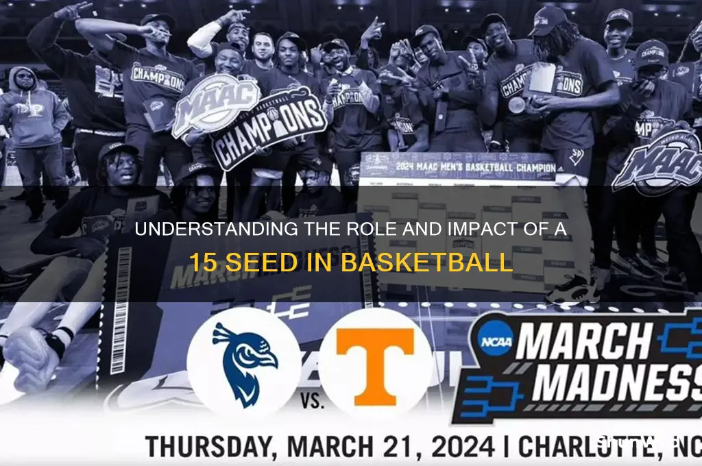 what is 15 seed in basketball