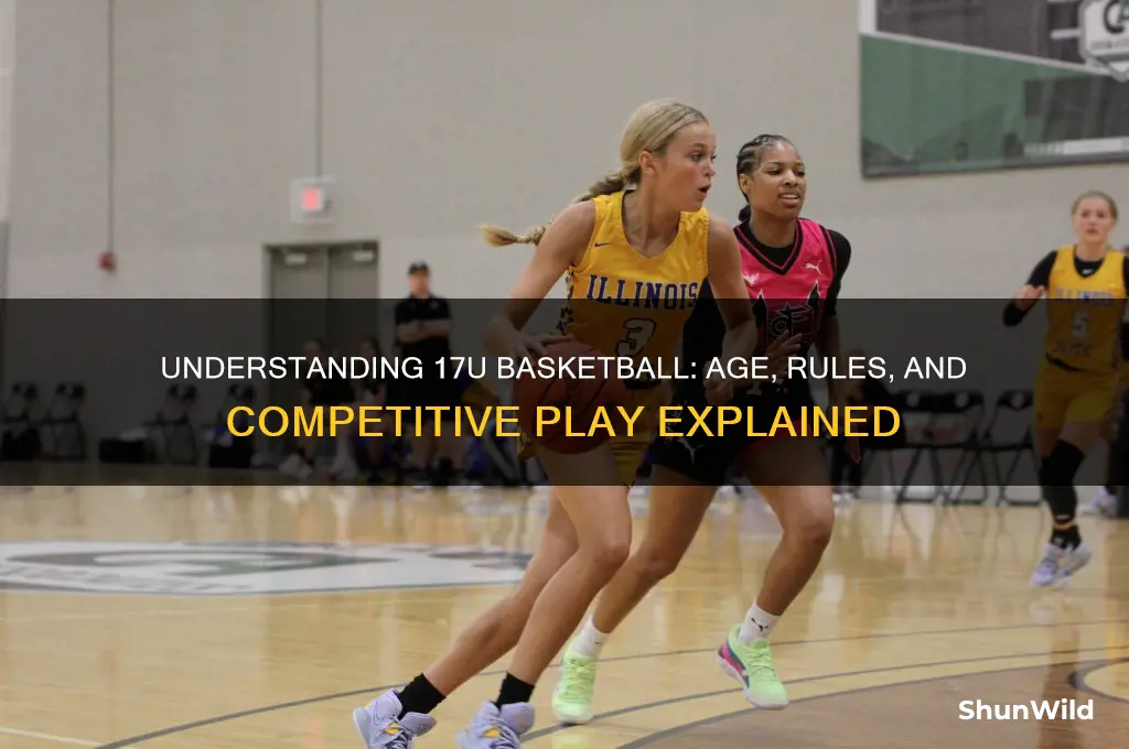 what is 17u basketball
