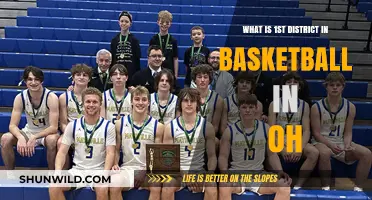 Understanding Ohio's 1st District Basketball League Structure and Rules