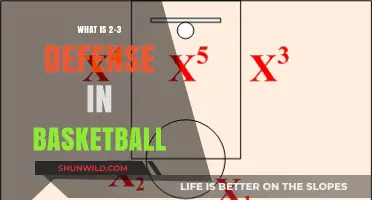 Mastering the 2-3 Zone Defense: A Basketball Strategy Explained