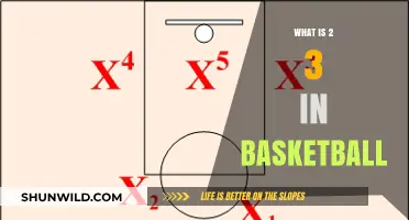 Understanding the 2-3 Zone Defense in Basketball: Strategies and Tactics