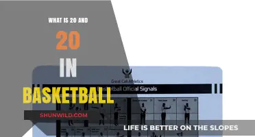 Understanding the 20-Second and 20-Second Violations in Basketball Rules