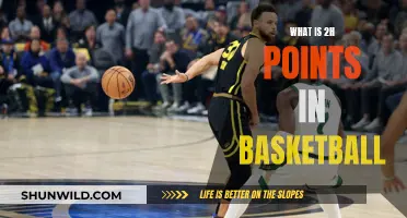 Understanding the 2-Point Play: A Deep Dive into Basketball's Scoring Strategy