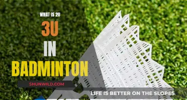 Understanding Badminton's 2U and 3U Racket Weights
