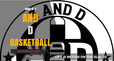 Understanding the 3 and D Basketball Role: Defense and Shooting Explained