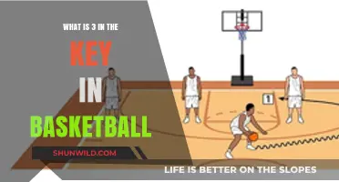 Understanding the 3 in the Key Rule in Basketball Defense