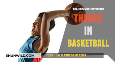 Mastering the Court: Three Essential Elements in Basketball Success