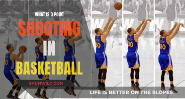 The Art of 3-Point Shooting in Basketball