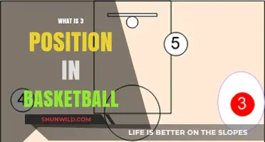 Understanding the Crucial Role of the 3 Position in Basketball