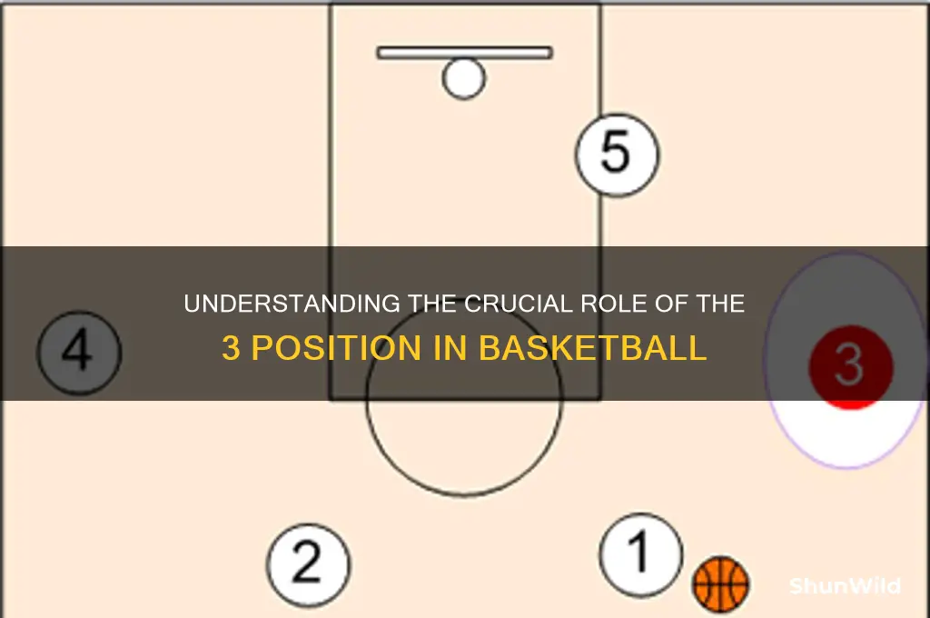 what is 3 position in basketball