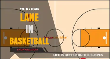 Understanding the 3-Second Lane Violation in Basketball Rules