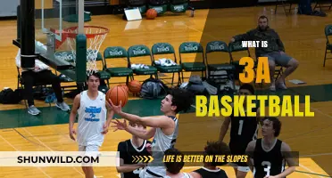 Understanding 3A Basketball: Rules, Levels, and Competitive Play Explained