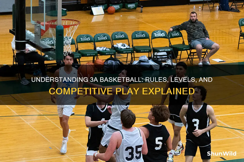what is 3a basketball