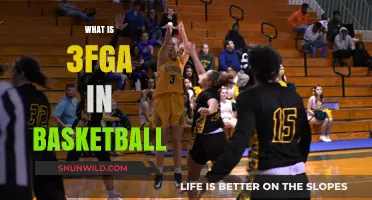 Understanding 3FGA: The Three-Point Field Goal Attempt in Basketball