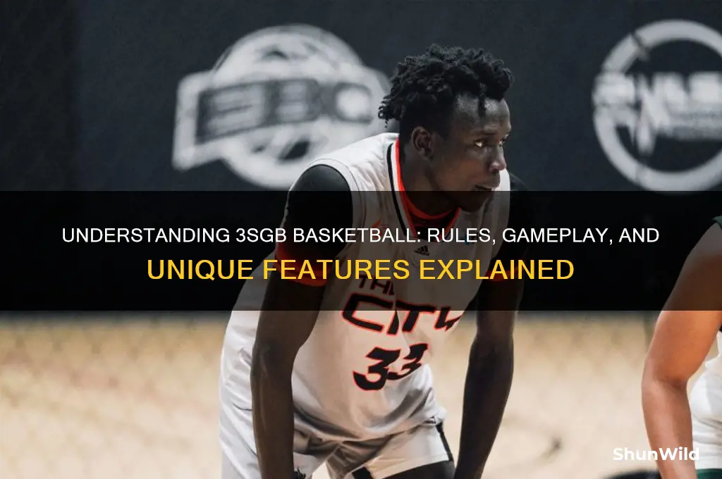 what is 3sgb basketball