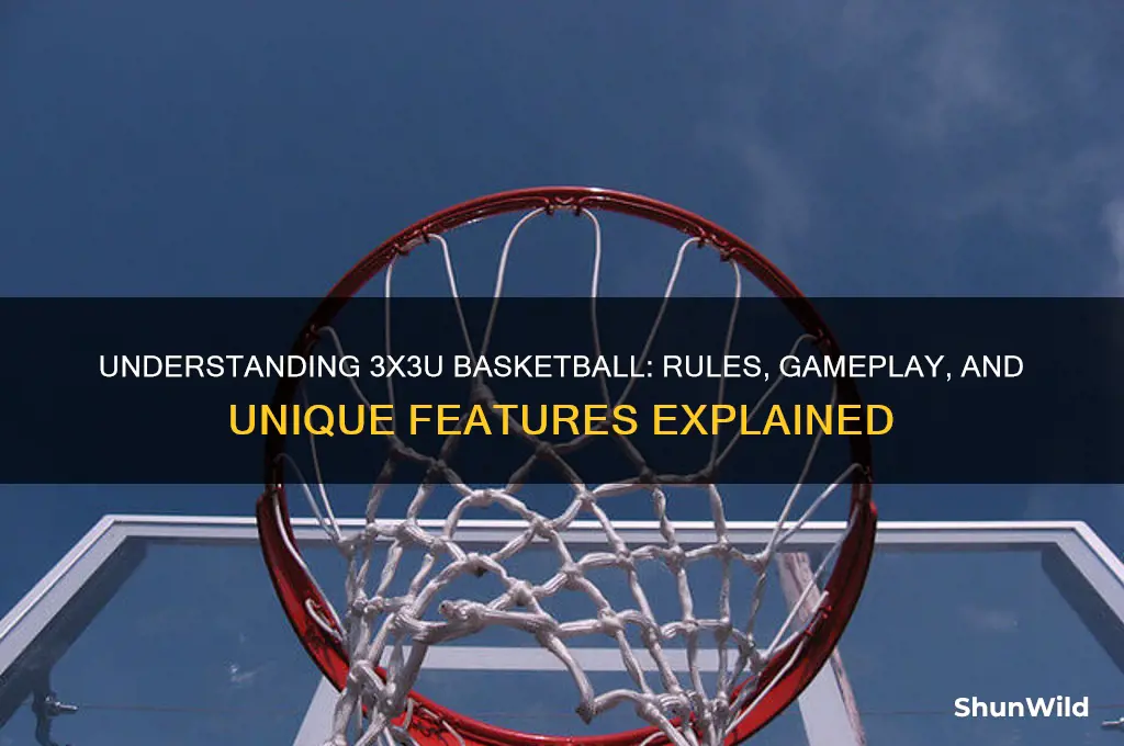 what is 3x3u basketball
