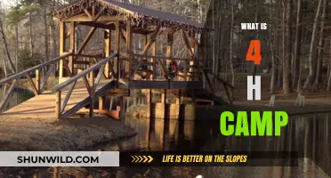 Exploring 4-H Camp: A Youth Development Adventure in Nature