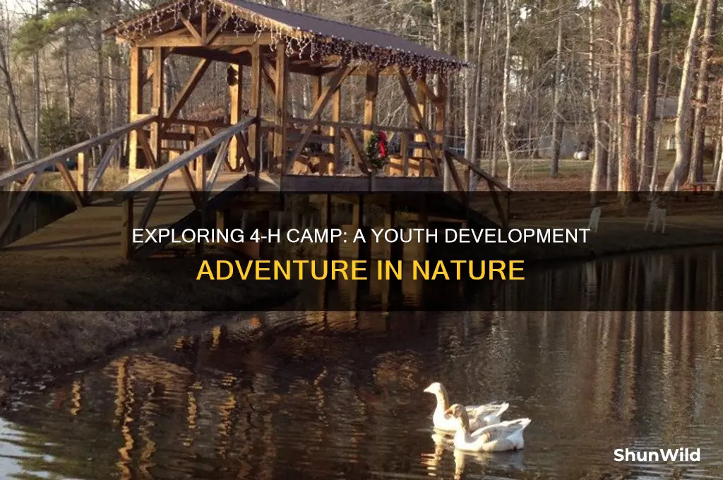 what is 4 h camp
