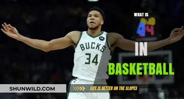 Understanding the Role and Impact of the 4 Position in Basketball