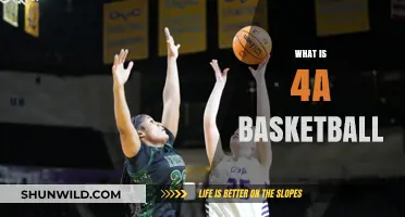 Understanding 4A Basketball: Rules, Divisions, and Competitive Play Explained