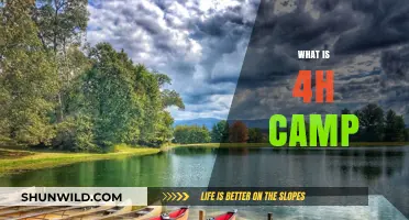 Exploring 4H Camp: A Youth Development Adventure in Nature